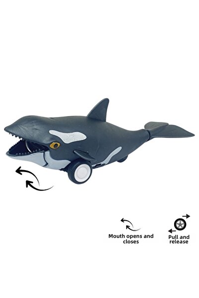 Lisinya Friction Animals Series - H-53 - Orca Whale (Lisinya)