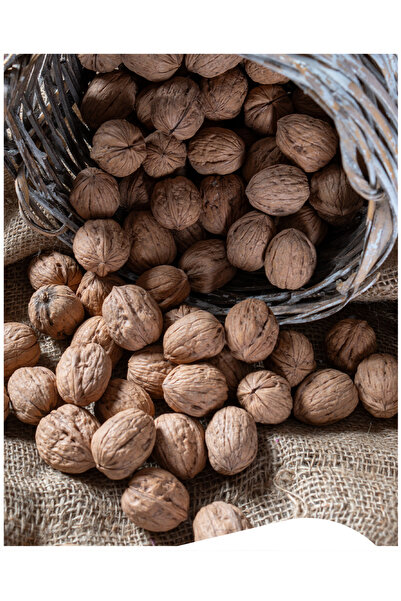 yöresel İnce Kabuklu Yerli Chandler Ceviz, (5kg)