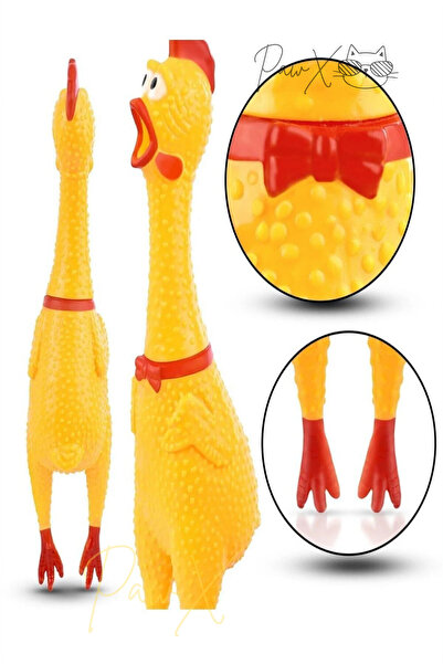 PawX Öten Tavuk Orta & Büyük Irk Köpek Oyuncağı Medium 30 Cm Sesli Horoz Oyuncak