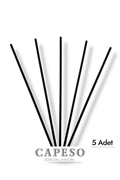 Capeso 5 Adet Siyah Fiber Oda Kokusu Çubuğu 22 cm – Yedek Reed Diffuser Çubuk