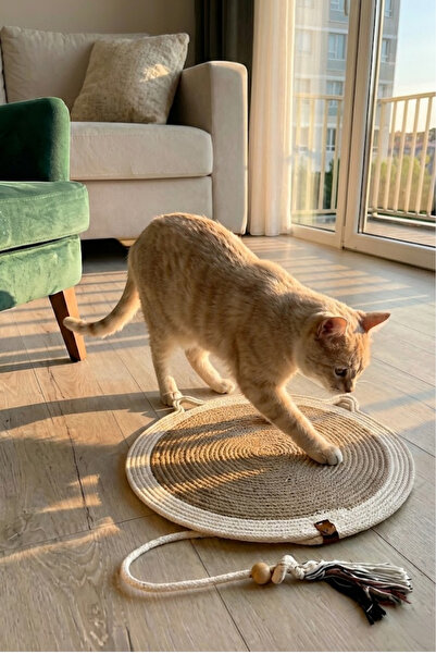 El yapımı Dayanıklı Kedi Tırmalama Paspası