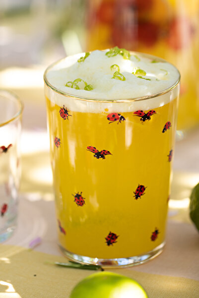 Rakle Lady Bird Set of 4 Soft Drink Glasses 510 Cc