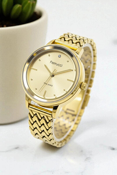 Ferrucci Steel Strap & Stylish Design, Women's Wristwatch, 3Atm Water Resista...