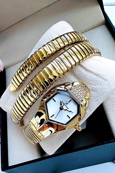 Daniel Klein Snake Watch Model - Women's Wrist Watch, Waterproof Gold Color Steel Band - Bracelet Gift Gdkb2011C1