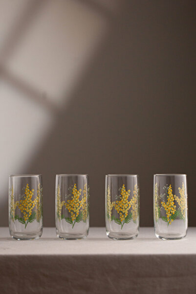 Rakle Mimosa 4-Piece Soft Drink Glass Set 365 Cc