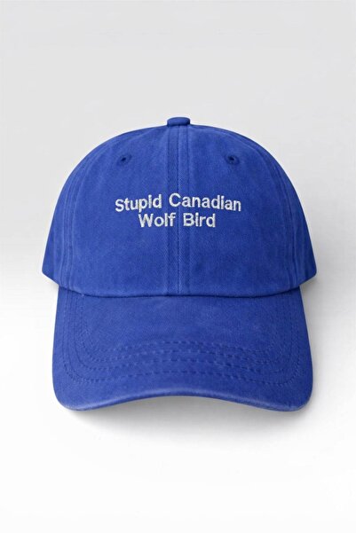 Stayberry Store Heated Rivalry Stupid Canadian Wolf Bird Mavi Şapka