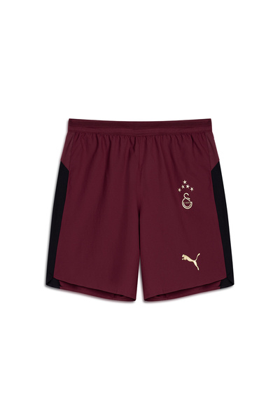 GSStore Galatasaray Puma 2025/2026 Alternate Professional Shorts 77982103