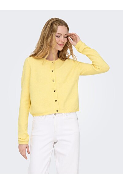 JDY Strickjacke JDYCHLOE Strickjacke