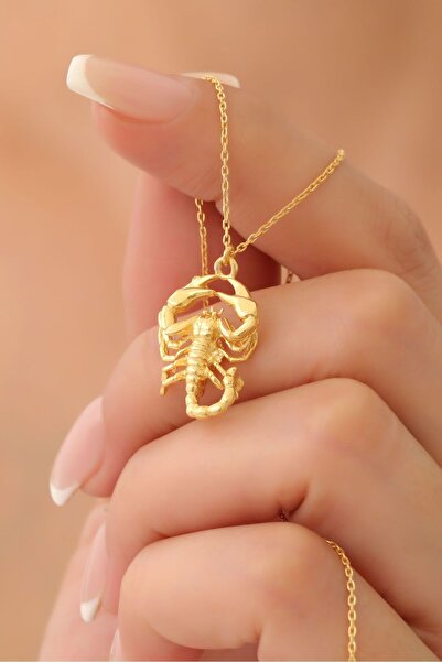 Nox Jewelry 925 Ayar Gümüş Üç Boyutlu Akrep Kolye Ucu - CN00362