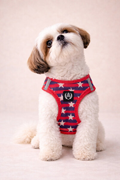 Alphadog Stars Köpek Kedi Göğüs Tasması