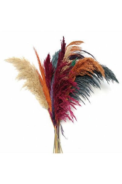 Hidden Botanics Pampas 8 Adet 65 Cm Boy