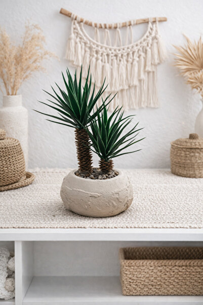 Lineva Dünya Desenli Saksıda Yapay Aloevera Çiçeği