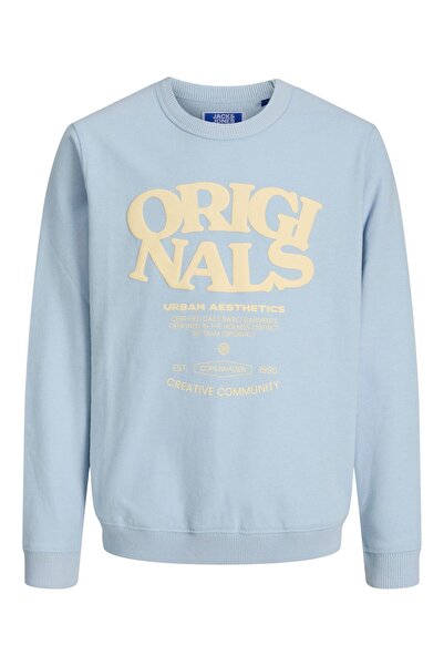 Jack & Jones Sweatshirt Sweatshirt Mini