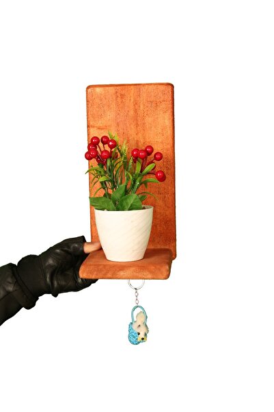 Natura Atölye Masif Ahşap Duvar Rafı - Çiçek ve Saksı Dahil