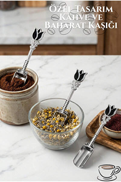 EMBazaar Multi-Purpose Silver Black Spice and Coffee Measuring Spoon with Tul...
