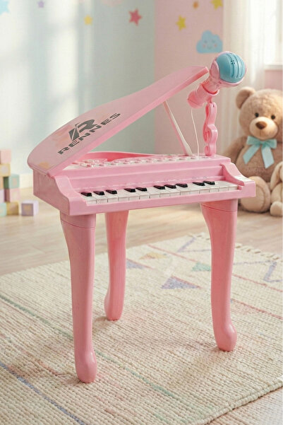 rennes NP-800PK Akustik Görünümlü 25 Tuşlu Dijital Elektronik Mikrofonlu Çocu...