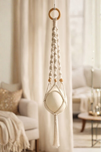 LİLYU Devekuşu Yumurtası - Dekoratif & Doğal Haşere Kovucu Deve Kuşu Yumurtas...