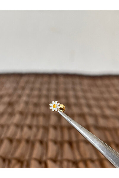 Rupen Kraft Yüksek Kalite G23 Titanium Papatya Altın Titanyum 6x1.2mm Labret ...