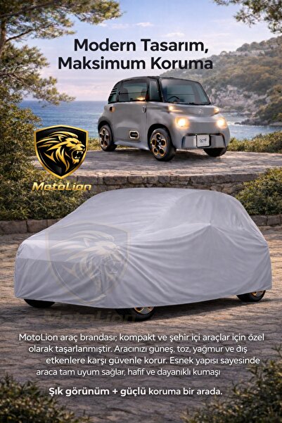 MotoLion سيتروين أمي برانداسي باللون الرمادي الأصلي