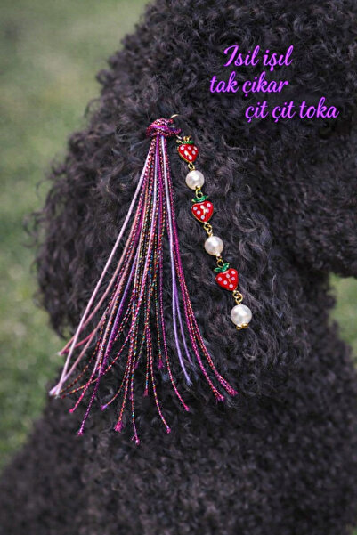 LOOL PREMİUM KÖPEK TOKASI SAÇ İPİ AKSESUARI KÖPEK TÜYÜ ÇIT ÇIT TOKA