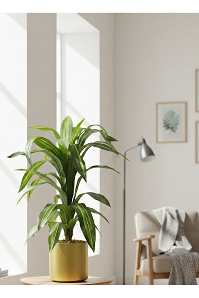 co arma شجرة صناعية محاكاة لشجرة الذرة الناعمة بملمسها الطبيعي بارتفاع   100 سم