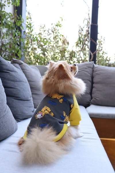 mardog Garfield Desenli Kedi Köpek Tişört – Sarı Kollu Gri Pet Sweatshirt