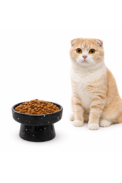 Turmarkt Kedi Köpek Mama Kabı – Seramik Ayaklı Yükseltilmiş Mama & Su Kabı – ...