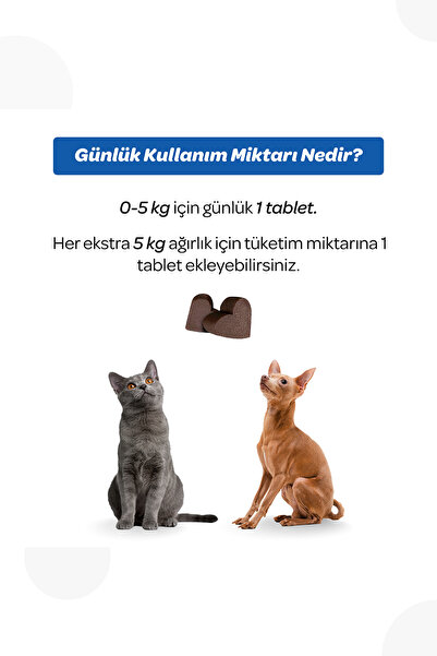 Vet's Plus Hip&Joint Çiğnenebilir Tablet 60'lı (Kolajenli Eklem ve Kemik Destekleyici, Kedi ve Köpekler için)