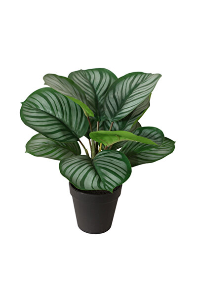 KOÇTAŞ Yapay Bitki Maranta