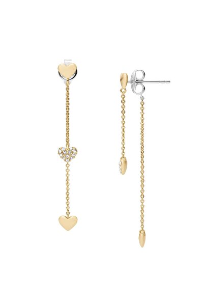 Fossil JA7300-710 Kalpli Kadın Küpe