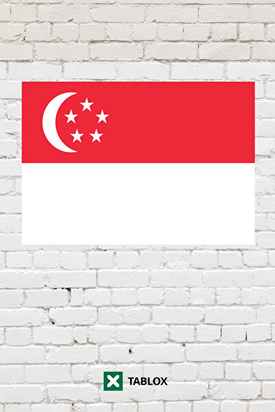 TABLOX Drapelul țării Singapore Tablou decorativ Tablou din lemn MDF Semn str...
