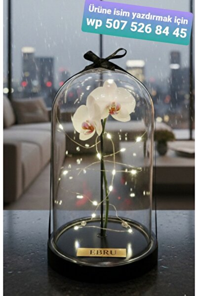 baskıtek Cam Fanusta Led Işiklı Orkide, Sevgiliye Hediye, Doğum hediyesi, Has...