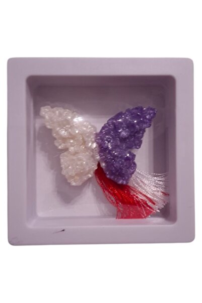 Vision XXI 3D Bicolor Butterfly Gift Set from Scented Soap