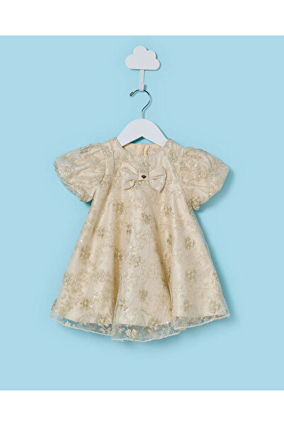 REDTAG Infant Girls Gold Embroidered Mesh Dress