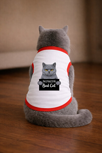 petite pati قميص أبيض مطبوع عليه قصمة قطة بريطانية مقاس L (100% قطن ممشط)