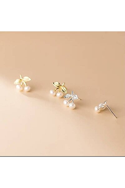 Ezera Cercei argintii model cireșe ❤️ Delicați și feminini