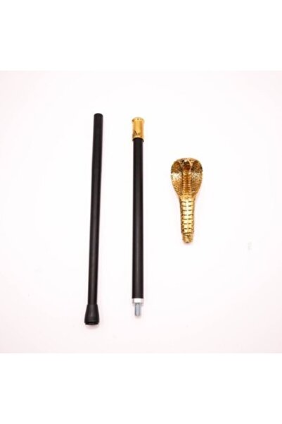 unbranded Golden Cbra Snake Walking Cane – Fierce Cbra Head Handle, Shiny Gol...