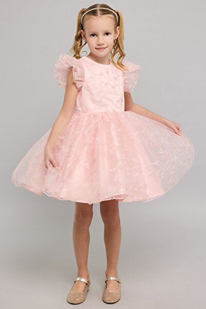 R&B Embroidered Fit & Flare Dress With Crew Neck And Flutter Sleeves