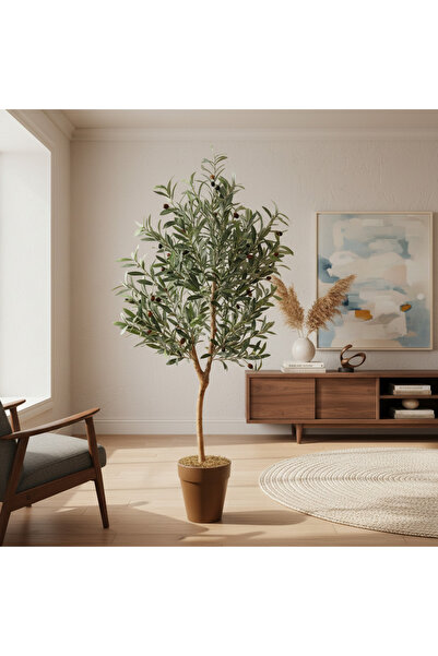 Roots Furniture شجرة زيتون