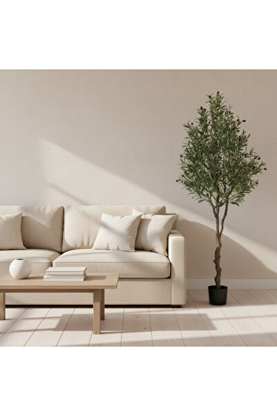 Roots Furniture شجرة زيتون - 180 سم