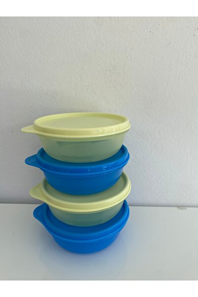 Tupperware S&S 4-Pack Storage Containers