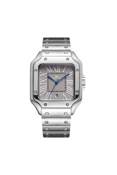 LOUIS RIVEL Men's Watch LR 9576 Silver Gray Dial