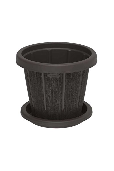 Cosmoplast وعاء زهور من خشب الأرز مع صينية 8 بوصات