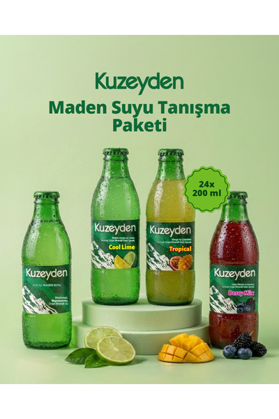 KUZEYDEN Maden Suyu Tanışma Paketi | 24x200ml | 6 x Sade,Berry Mix, Tropical,...
