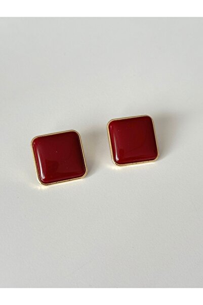 Charmist Steel Burgundy Roya Earrings