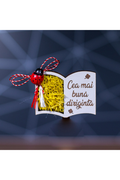 Creators of Crafts Martisor Magnet Cu Licheni Pentru Diriginta Model Carte