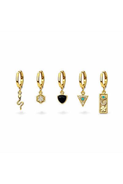 Venus Design Steel 6-Piece Lucky Earring Set