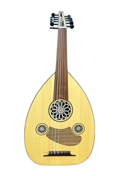 Oud Professional Egyptian-made oud instrument with original manufacturer's Ba...