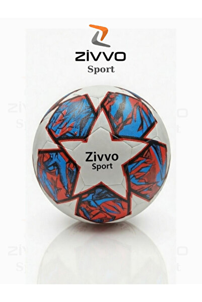 Zivvo كرة قدم دوري الأبطال، تشمل مضخة هواء، كرة قدم للملاعب الصلبة والمدارس ر...