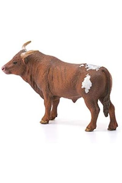 Yıldızan ynsstores 13866 T Longhorn Boğa, Renkli 1167681